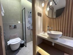 Mount Elizabeth Link (D9), Condominium #466086621